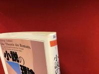 ＜ちくま学芸文庫＞小説の理論