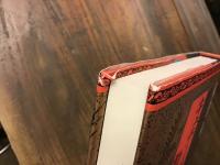 キュテーラの鳩の首は動きに応じて輝く