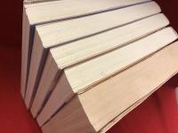 ＜白泉社文庫＞川原泉『甲子園の空に笑え！』『ブレーメンⅡ（全4巻揃）』計5冊一括