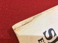 【独文洋書】SPIELZEUG Eine Staackmannfibel　（シュタックマンの入門書「おもちゃ」）　※おもちゃの図多数