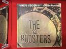 THE ROOSTERS DVD BOX 「Virus Security」の付録ブックレット　※ブックレットのみでDVDはありません。イタミ多