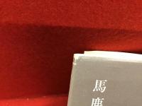 馬鹿たちの学校
