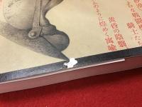 ヴィリコニウム : パステル都市の物語