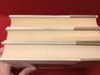 「燃えあがる緑の木」全３冊揃（『「救い主」が殴られるまで』『揺れ動く＜ヴァシレーション＞』『大いなる日に』）