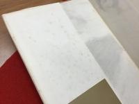 「燃えあがる緑の木」全３冊揃（『「救い主」が殴られるまで』『揺れ動く＜ヴァシレーション＞』『大いなる日に』）
