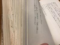 処女地帯　※アンカット装本文未カット