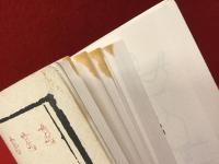 【洋書】『T'ai Chi Ch'uan & Meditation（太極拳と瞑想）』『T'ai Chi for Dummies（誰でもわかる太極拳）』太極拳関連洋書２冊一括