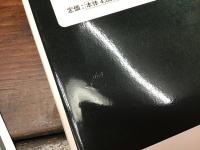 異端の資生堂広告/太田和彦の作品　