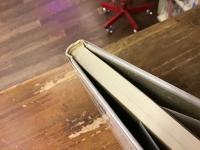 今村昌平 : 映画は狂気の旅である