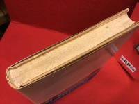 東京のドン・キホーテ