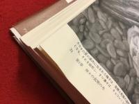 チョコレートの歴史