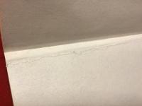 【独語洋書】Fettecke. Die Geschichte der Fettecke von Joseph Beuys in Raum 3, Staatliche Kunstakademie Düsseldorf und der Prozeß J. Stüttgen gegen das Land Nordrhein-Westfalen.　脂肪の角：デュッセルドルフ国立美術アカデミー第3室にあるヨーゼフ・ボイス作品「脂肪の角」の歴史、およびJ・シュトゥットゲン対ノルトライン・ヴェストファーレン州裁判の記録