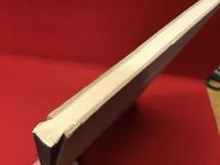 【独語洋書】Fettecke. Die Geschichte der Fettecke von Joseph Beuys in Raum 3, Staatliche Kunstakademie Düsseldorf und der Prozeß J. Stüttgen gegen das Land Nordrhein-Westfalen.　脂肪の角：デュッセルドルフ国立美術アカデミー第3室にあるヨーゼフ・ボイス作品「脂肪の角」の歴史、およびJ・シュトゥットゲン対ノルトライン・ヴェストファーレン州裁判の記録