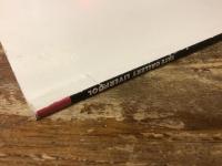 Francis Bacon　　（フランシス・ベーコン）