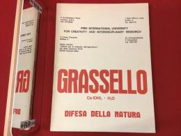 【伊語洋書】Joseph Beuys GRASSELLO Ca(OH)2＋H2O Difesa Della Natura （ヨーゼフ・ボイス『石灰 Ca(OH)2＋H2O  自然の防衛』）