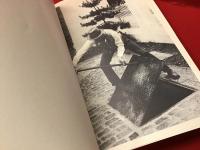 【伊語洋書】Joseph Beuys GRASSELLO Ca(OH)2＋H2O Difesa Della Natura （ヨーゼフ・ボイス『石灰 Ca(OH)2＋H2O  自然の防衛』）