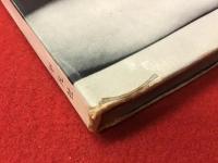 イッピーガールイッピー