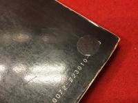 イッピーガールイッピー