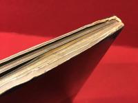 イッピーガールイッピー