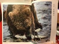 雑誌「『旬』がまるごと マザーフードマガジン」創刊準備号～最終29号までのうち24・25の２冊欠、計28冊一括