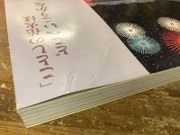 放浪の天才画家　山下清　原画展図録