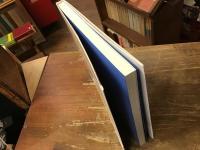 目に見えるもの : 野見山暁治画文集