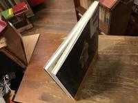 セクシーガールの起原