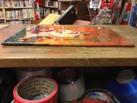 毛皮のマリ―　2009年公演パンフレット