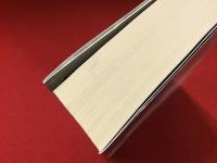 ＜講談社文芸文庫＞ドストエフスキー