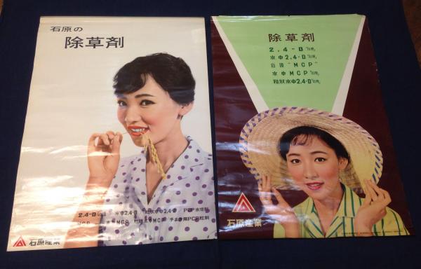 芦川いづみ ポスター2種一括 元カレンダー 1枚天端に金具付き 石原産業除草剤 経年並みシワ 端にキズ 約515mm 730mm 古書 往来座 古本 中古本 古書籍の通販は 日本の古本屋 日本の古本屋