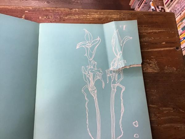 私のアップリケ(宮脇綾子著) / 古本、中古本、古書籍の通販は「日本の