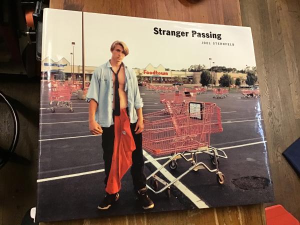 Joel Sternfeld Stranger Passing 大型本