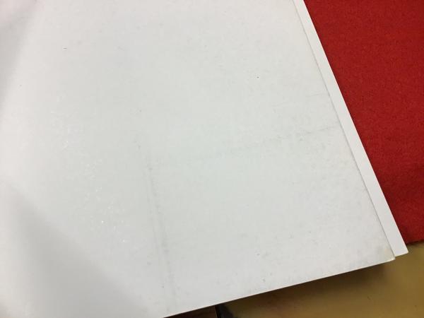 ダイアン・アーバス作品集(伊藤俊治 訳) / 古本、中古本、古書籍