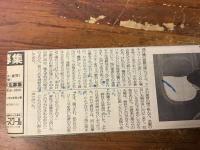 【新聞連載切り抜き】 「ドナウの旅人」 朝日新聞（夕刊）　1983年11月～1985年5月　全453回　完
