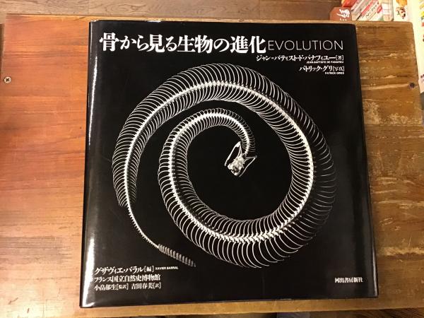骨から見る生物の進化 普及版／ジャン=バティスト・ド・パナフィユー 著 ;パトリック・グリ 写真 ; グザヴィエ・バラル 編 ;小畠郁生 監訳 ; 吉田春美 訳／河出書房新社