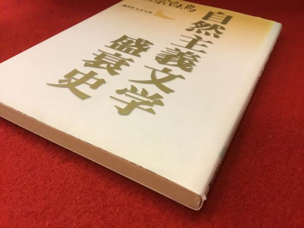 自然主義文学盛衰史(正宗白鳥 著) / 古本、中古本、古書籍の通販