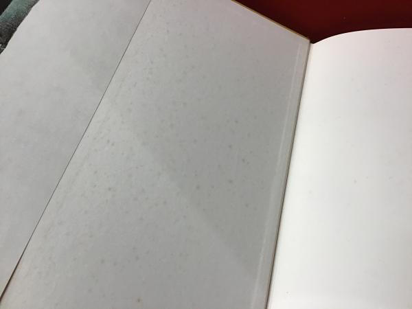 パウル・ヴンダーリッヒ版画作品集(フリッツ・J.ラダッツ 本文