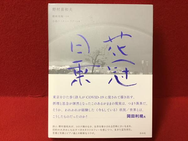 朝日百科 世界の植物 ＜本巻12巻のみ、別冊欠、12冊一括
