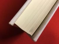 ブルーノ・シュルツ 　目から手へ