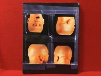 Bruce Nauman : image/texte 1966-1996（ブルース・ナウマン）独文