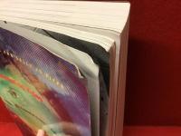 Illuminating Video : An Essential Guide to Video Art（映像を照らす：ビデオアートの本質的なガイド）洋書