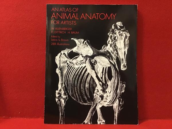 洋書】An atlas of animal anatomy for artists（アーティストの