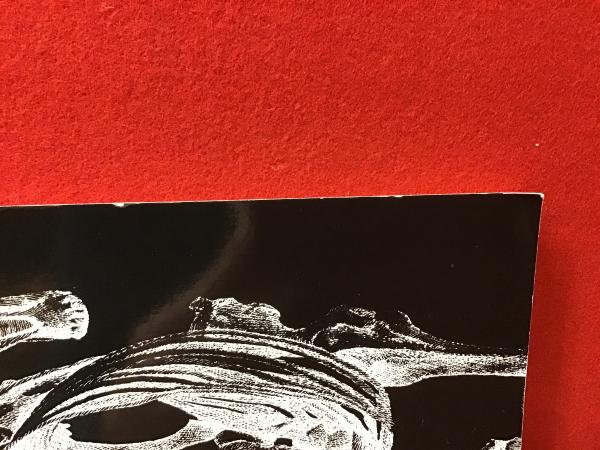 洋書】An atlas of animal anatomy for artists（アーティストの