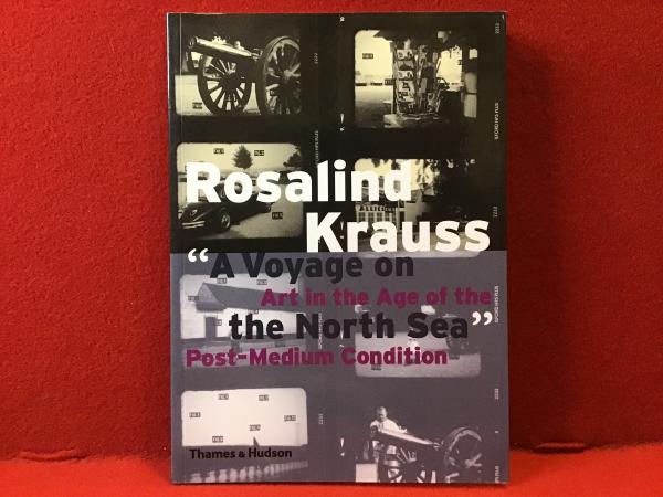 洋書 The Voyage of the Arctic Tern 250px-