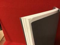 宇佐美圭司 : 制動 (ブレーキ)・大洪水展