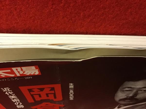 超大特価 別冊太陽 岡倉天心 近代美術の師 2013年6月発行 平凡社 
