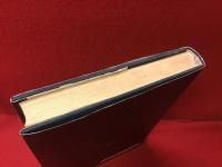 図の体系 : 図的思考とその表現