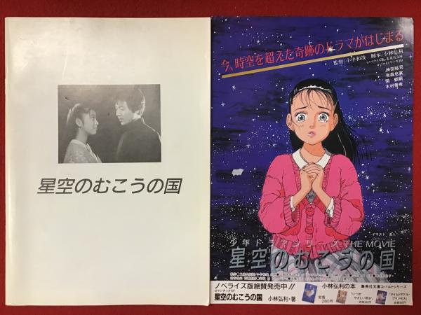 チラシ付き映画パンフ】星空のむこうの国（監督・小中和哉／脚本