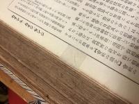 【ホームメイドルリュール：元蔵書者独自補強改装】日本家庭大百科事彙　全4巻揃