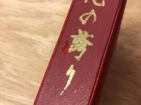 【ホームメイドルリュール　元蔵書者独自補強改装】この心の誇り